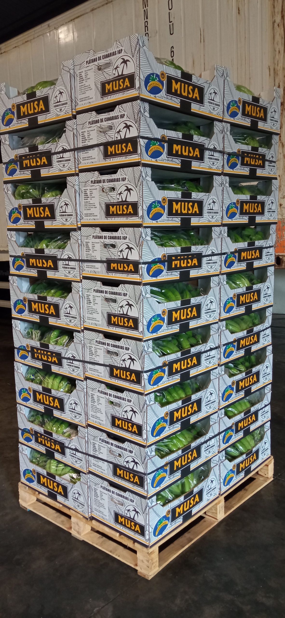 PILA DE CAJAS DE PLÁTANOS